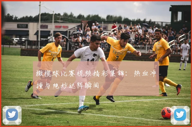 橄榄球比赛视频精彩集锦：热血冲撞与绝妙达阵瞬间