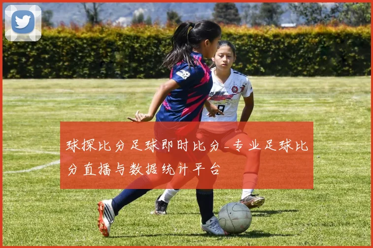 球探比分足球即时比分_专业足球比分直播与数据统计平台